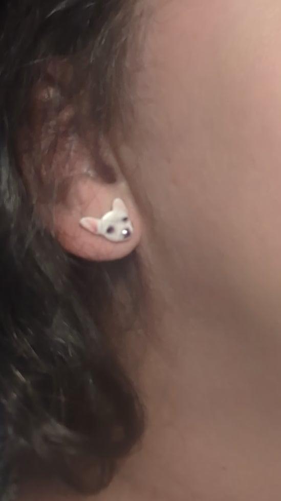 Pet Pal Earrings